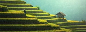 Die besten 5 Insidertipps für Vietnam